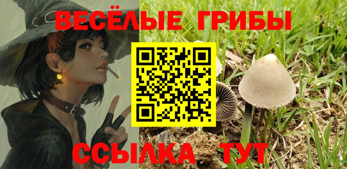 Псилоцибиновые грибы Psilocybine cubensis  Вход с VPN  Лангепас 